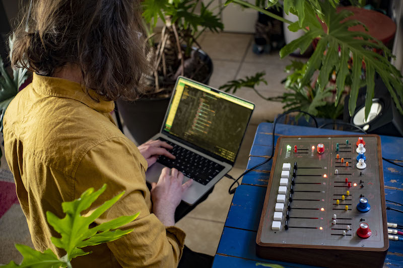 matthew on a laptop with his back to the camera next to the balsam sitting on a table