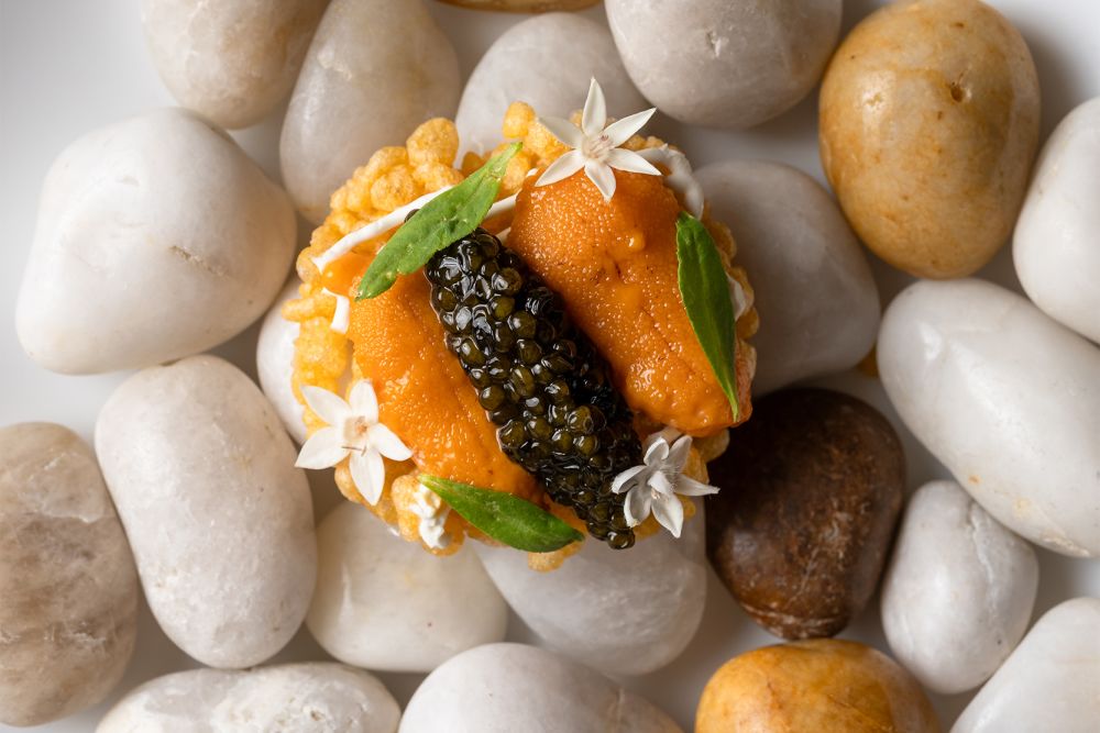 &eacute; by Jos&eacute; Andr&eacute;s