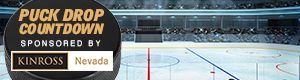 vgk-bg