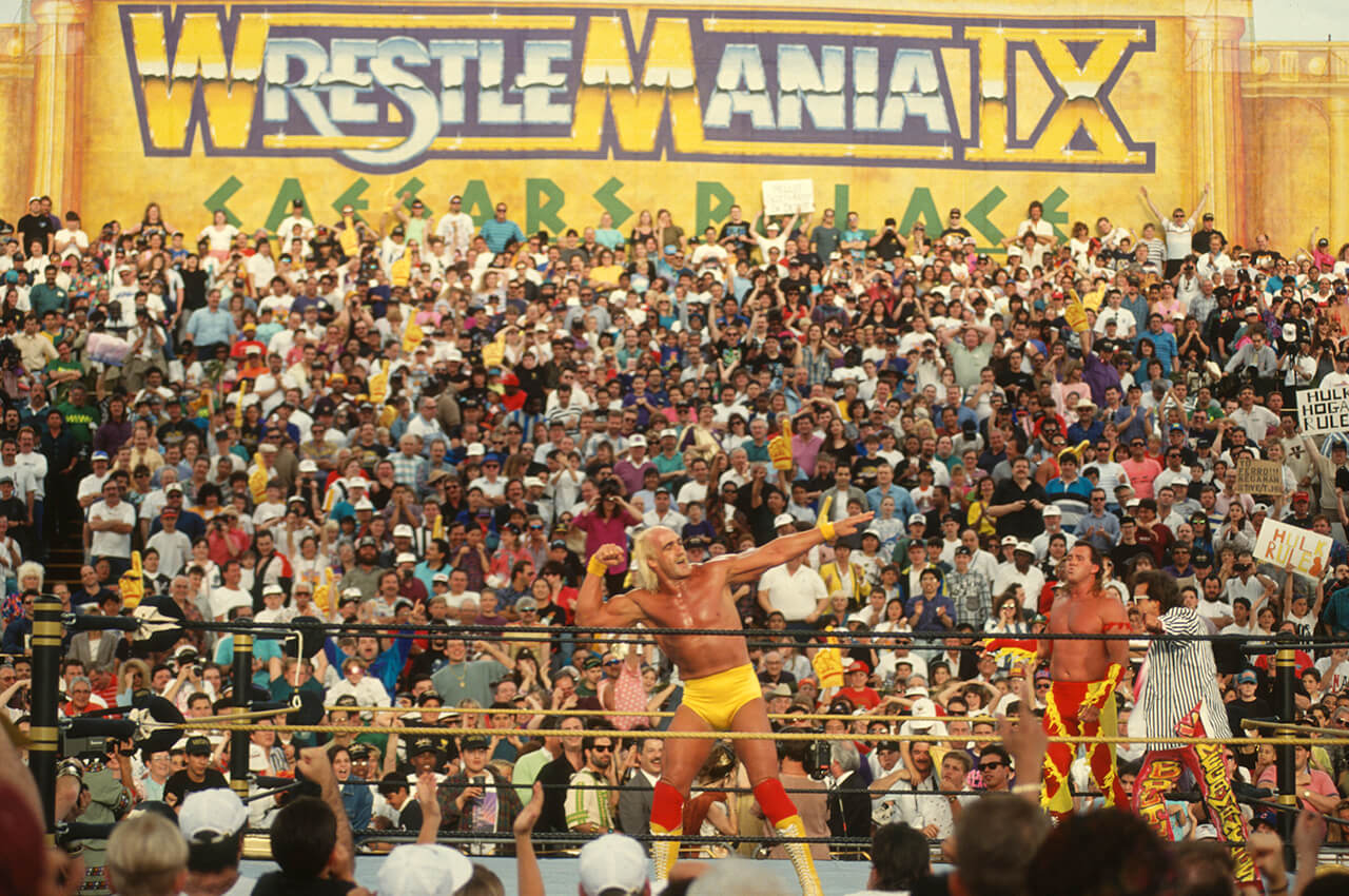 ultimate warrior wrestlemania 9