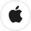 Apple Inc.