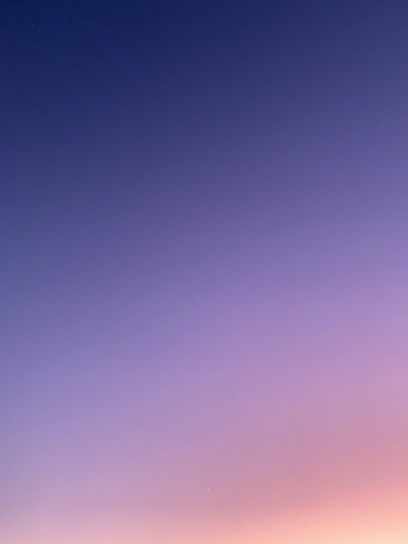 Department of Defense Leads Federal 8(a) Spending with $19.3 Billion in FY2025