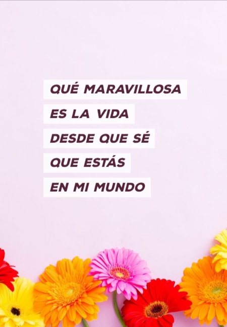 Frases para el Día de los Enamorados - Qué maravillosa es la vida desde que sé que estás en mi mundo