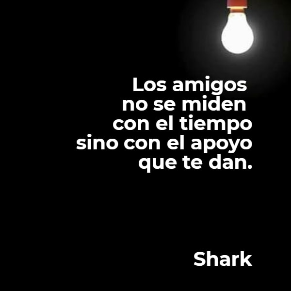Frases de Amistad - Los amigos  no se miden  con el tiempo  sino con el apoyo que te dan.                    Shark