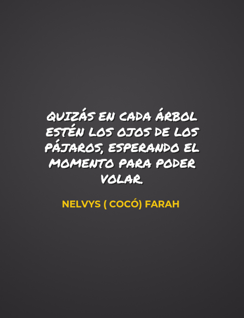 Frases de la Vida - Quizás en cada árbol estén los ojos de los pájaros, esperando el momento para poder volar. Nelvys ( Cocó) Farah