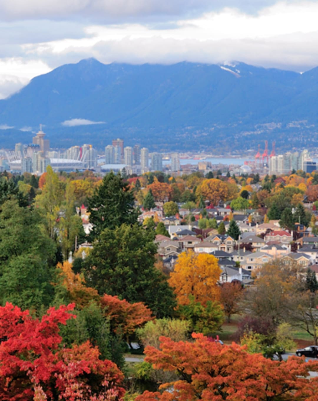 Vancouver Real Estate at “Low Risk” of “Problematic Conditions”: CMHC Report thumbnail