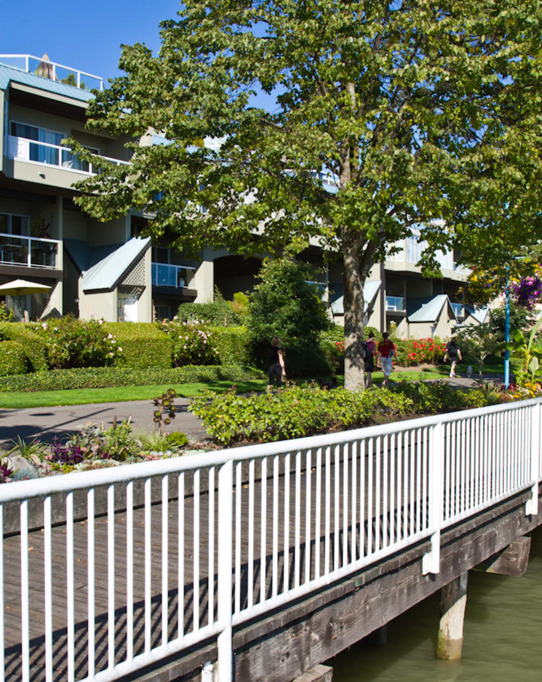 Five Great Things about Living in ... New Westminster Quay thumbnail