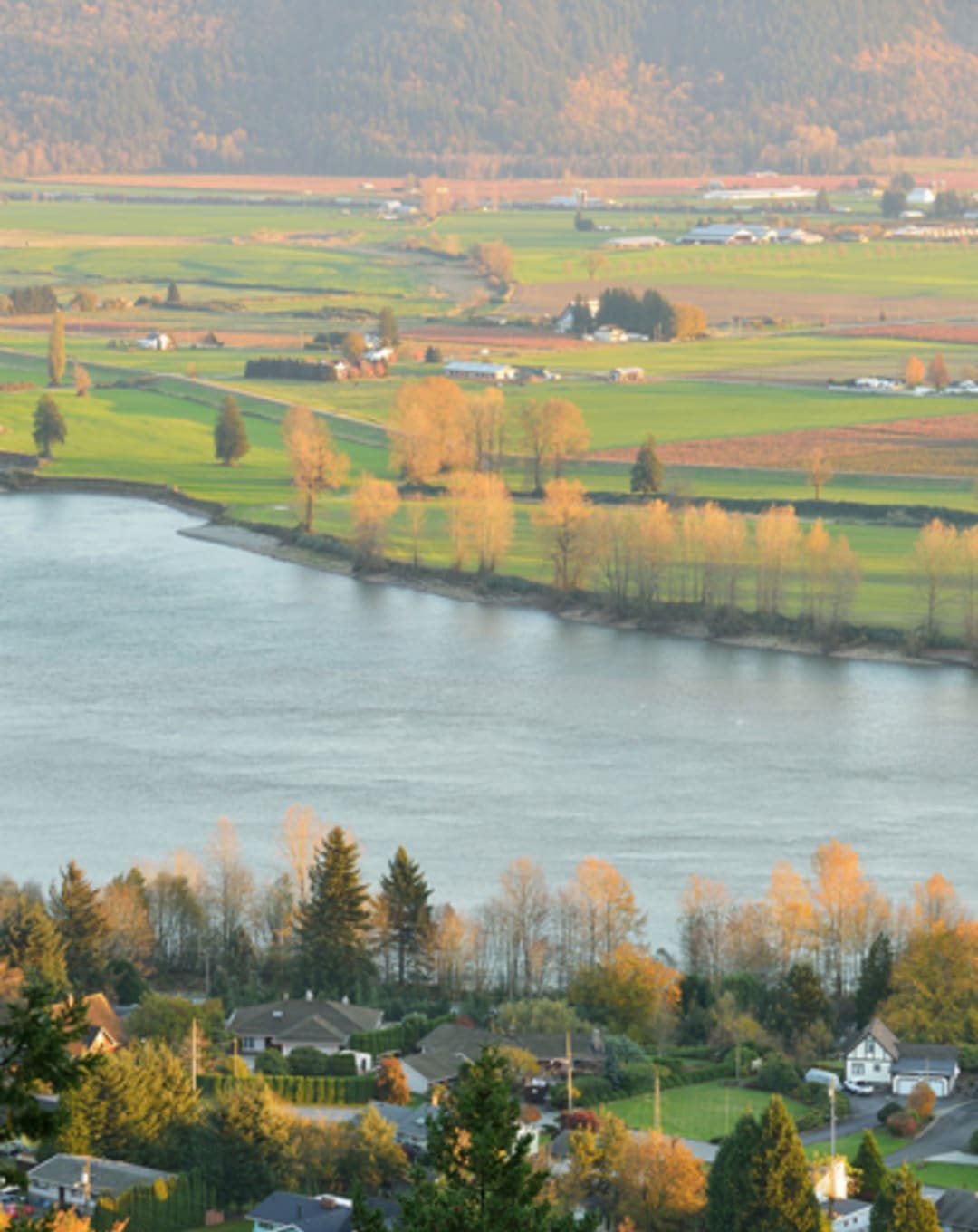 Fraser Valley Home Sales Recover in October, But Listings Slow: Board thumbnail