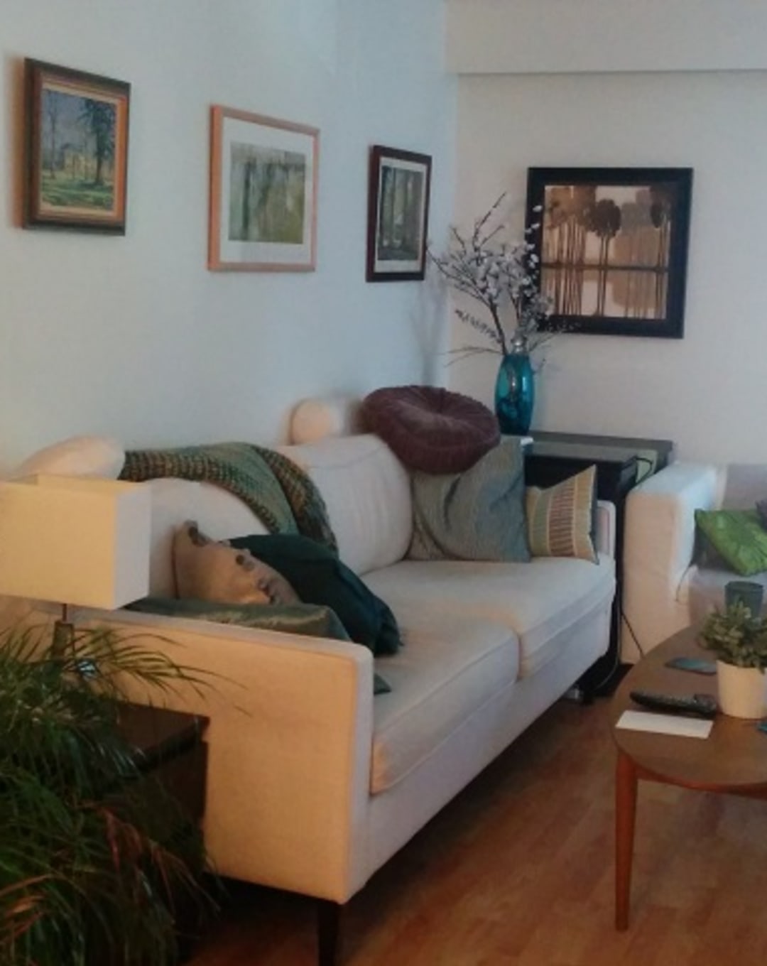 Editor’s Blog #5: Diary of a Condo Buyer thumbnail