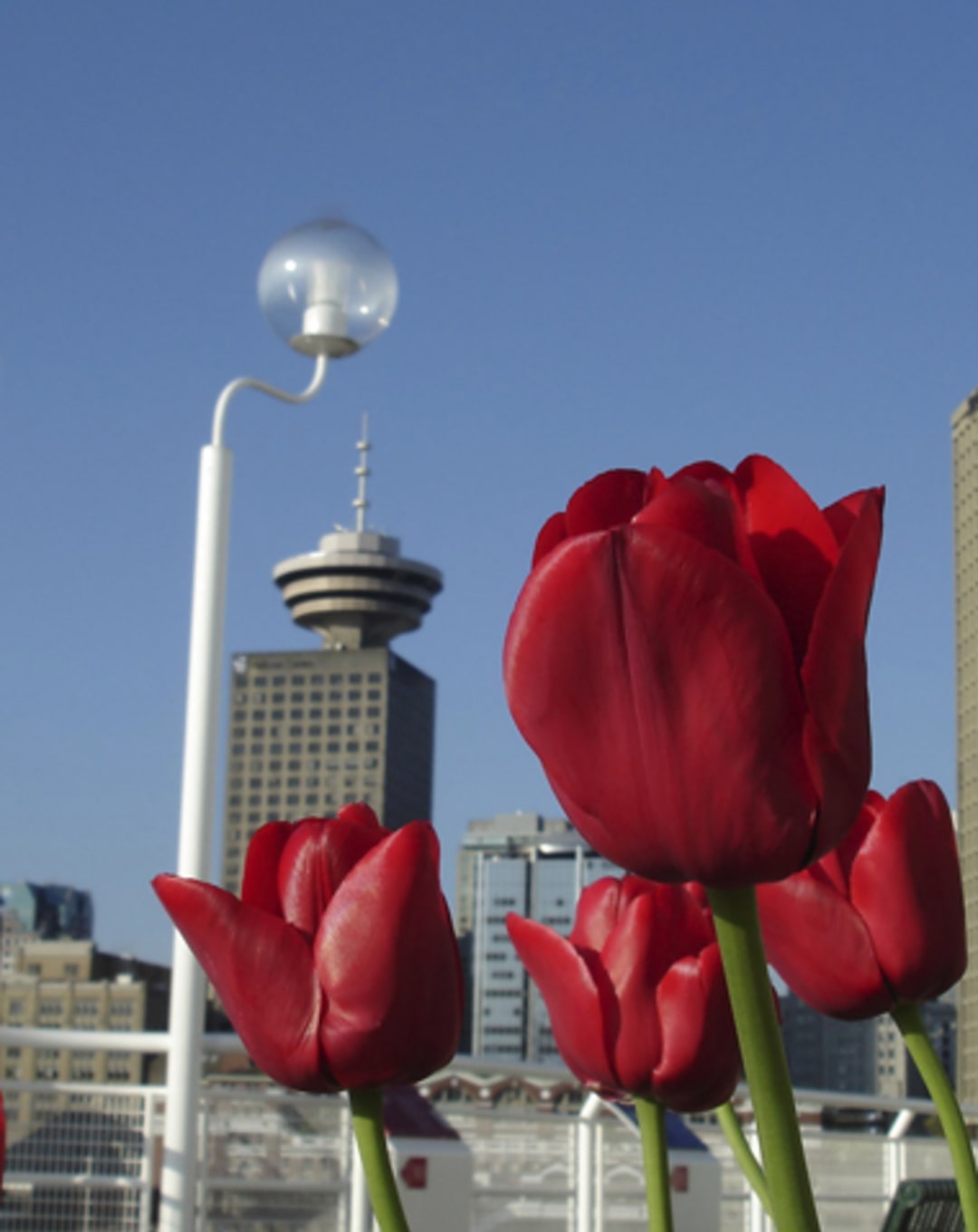 Hottest April in a Decade for Home Sales in BC: BCREA thumbnail