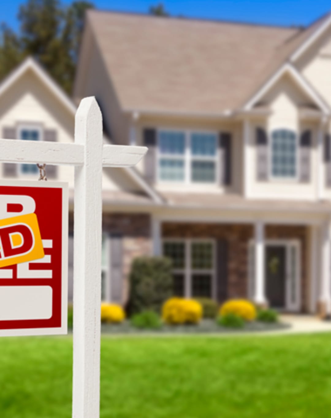BC Home Sales See Strongest January in Five Years: BCREA thumbnail