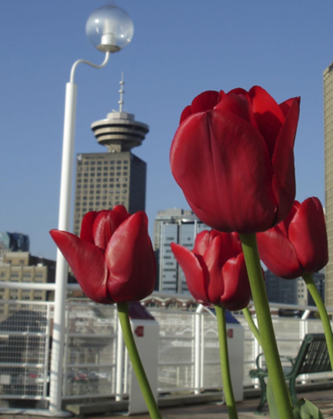 Hottest April on Record for Weather – and Real Estate Sales: Stats thumbnail