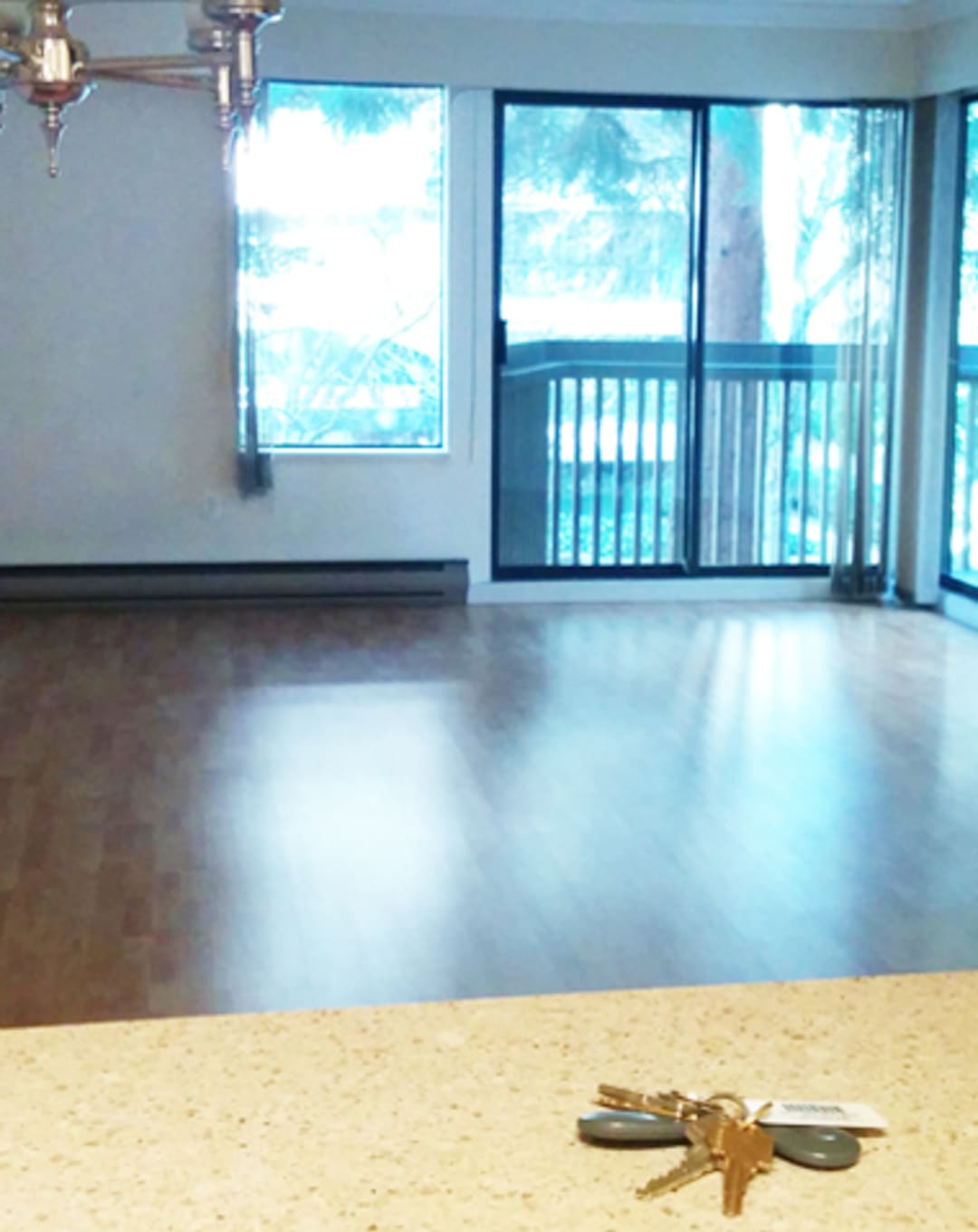 Editor’s Blog #4: Diary of a Condo Buyer thumbnail
