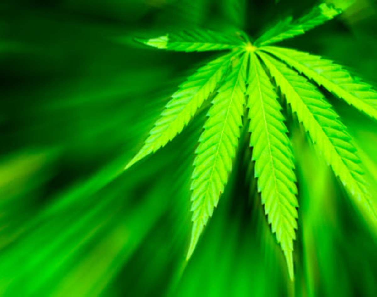 Think that Former Grow-Op is a Deal? Think Again. thumbnail