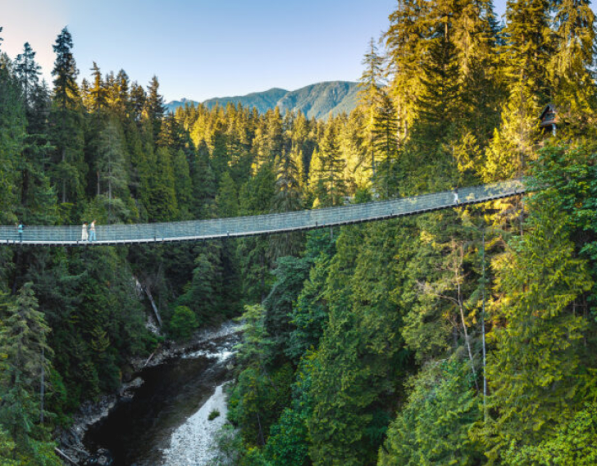 Capilano Suspension Bridge.