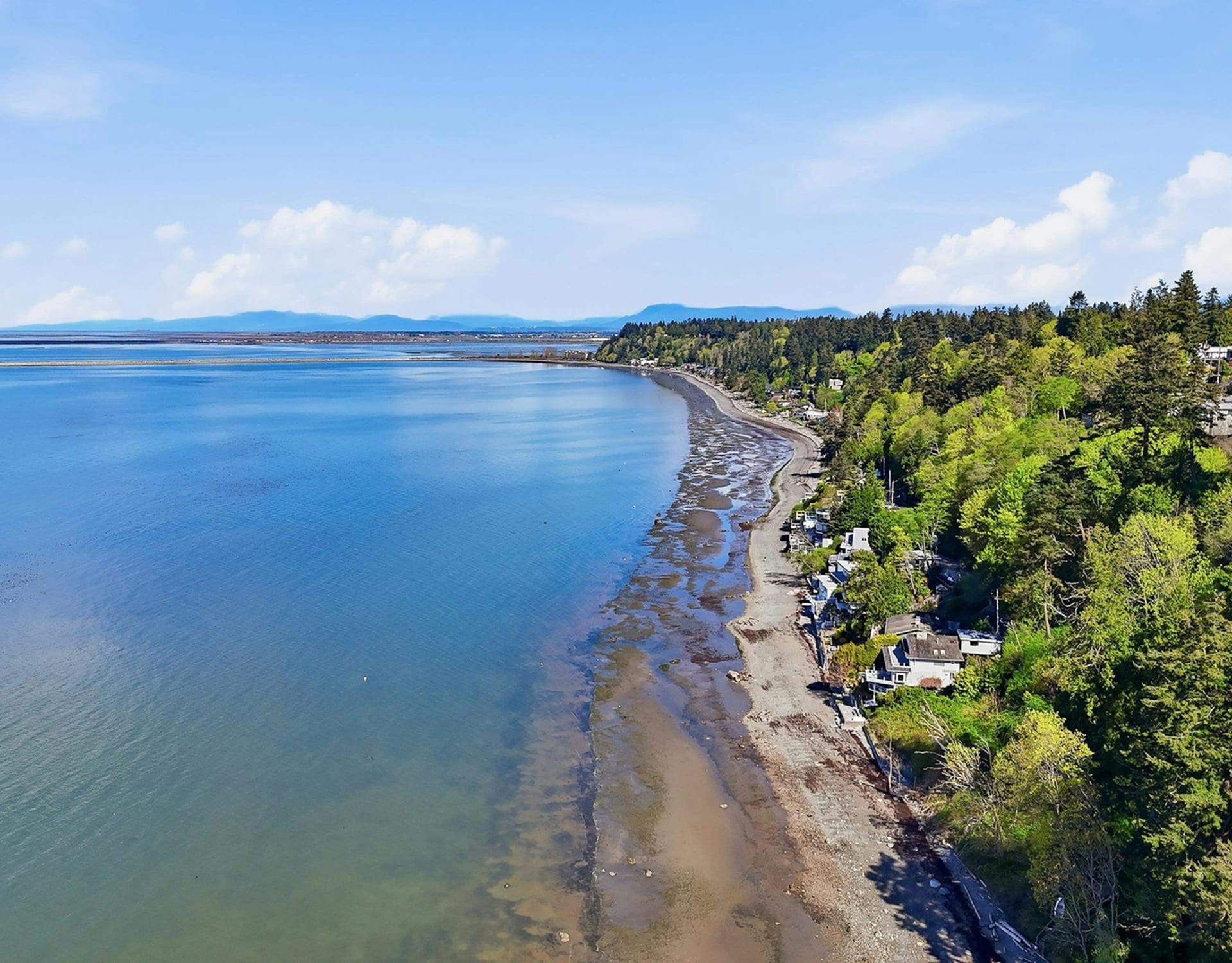 A calm blue ocean meets a rocky, tree-lined shore with houses nestled among the trees, all under a bright, cloudy sky.