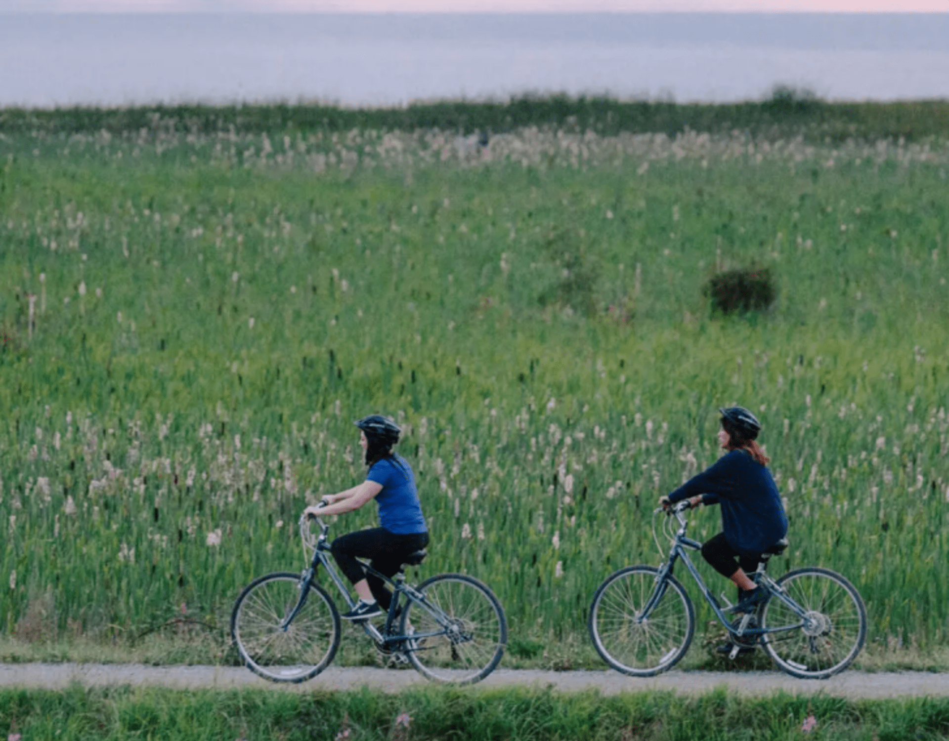 West Dyke Trail