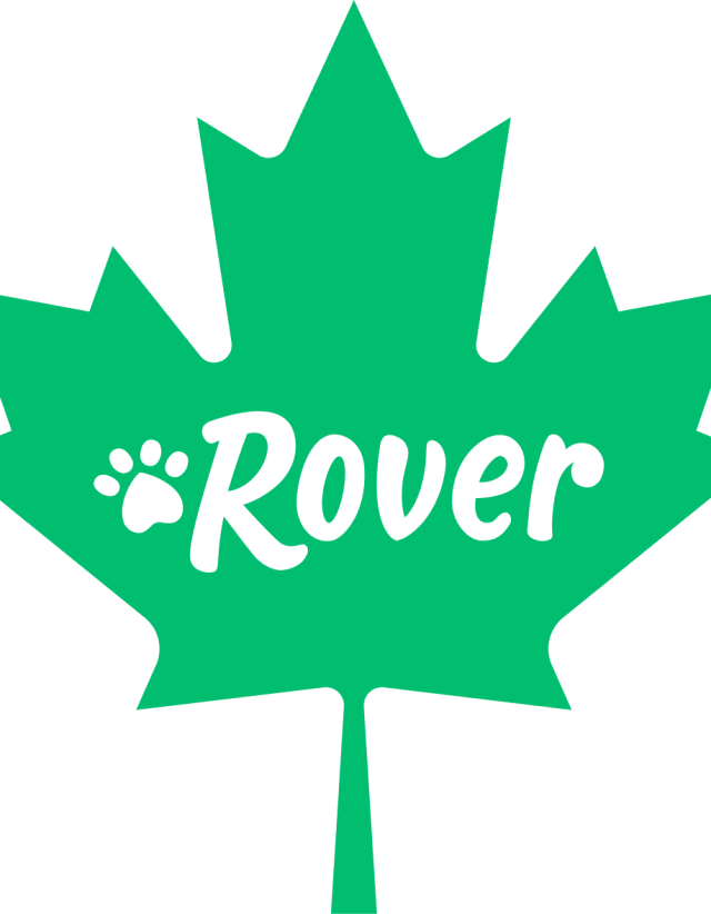 Rover