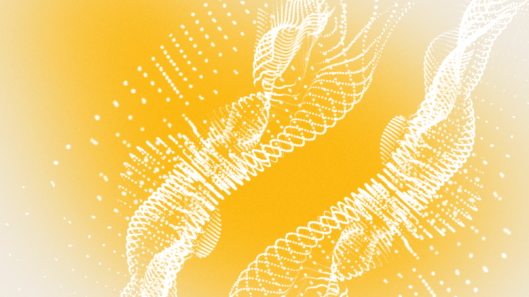 Market Insights Report: July 2025 image