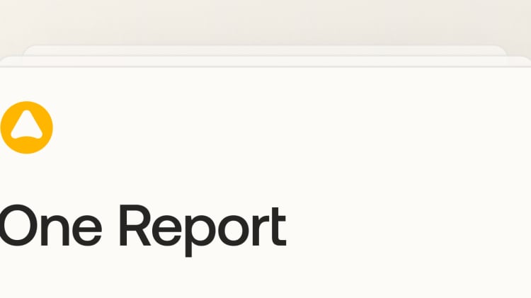 The next-level One Report image