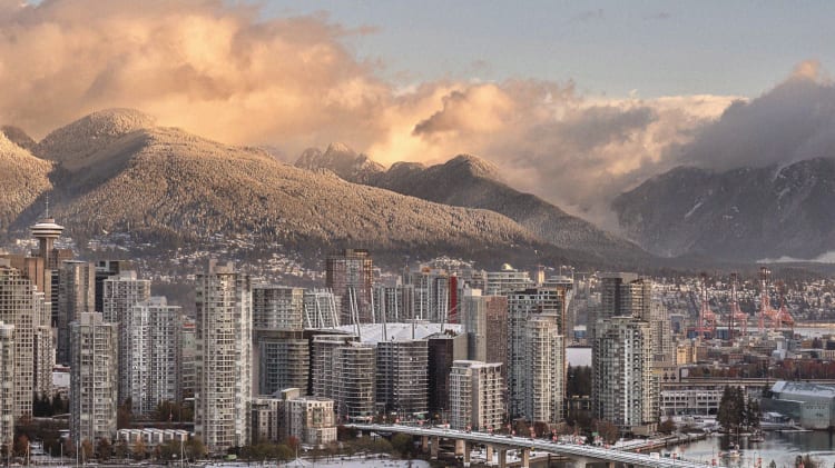 Market Insights Report:  December 2023 image