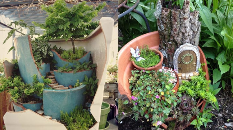 Transform Your Broken Pots into Magical Miniature Gardens thumbnail