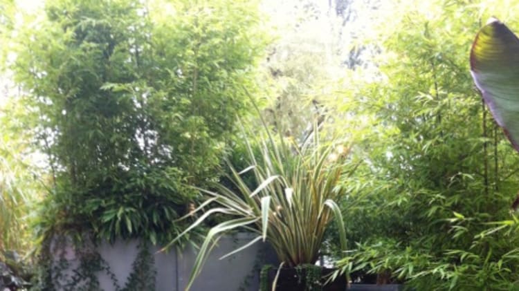 Five Quick Wins to Spruce Up Your Garden thumbnail