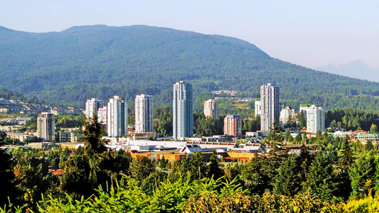 Tri-Cities Condo Market Snapshot: Dec 2015 thumbnail
