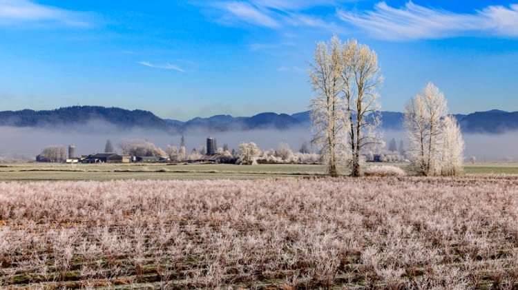 January Home Sales, Prices See Sunnier Conditions in the Fraser Valley: Stats thumbnail