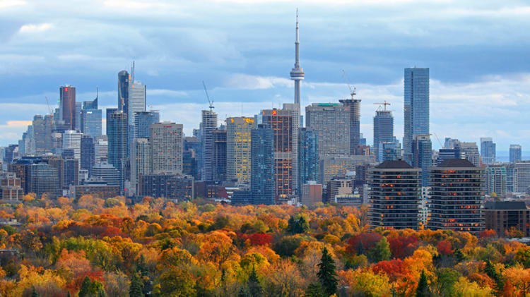 How the FOMO Factor is Still Gripping Toronto Real Estate Market thumbnail