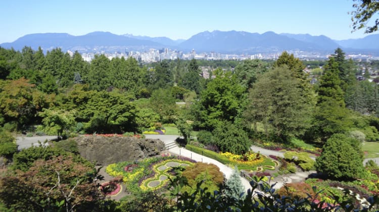 Five Great Things About Living in… Cambie image
