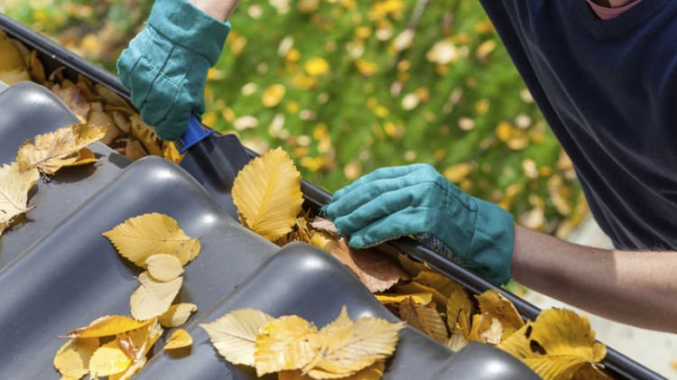 Time to Fix Up Your Roof and Gutters for Fall thumbnail
