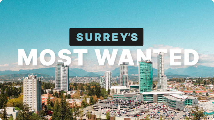 Surrey’s most wanted. image