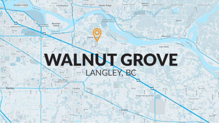 Neighbourhood Focus Infographic: Walnut Grove thumbnail