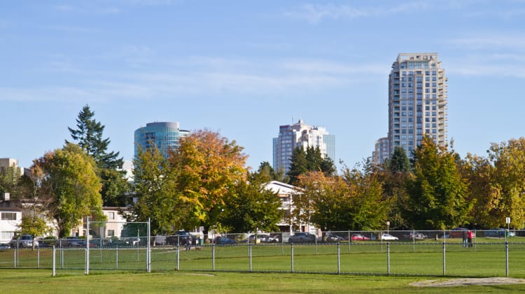 Central Park image