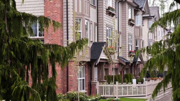 Sequoia: Settle in Surrey and Let Your Family Take Root image