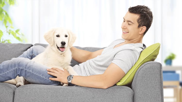 Strata Living: What You Need to Know About Age and Pet Restriction Bylaws thumbnail