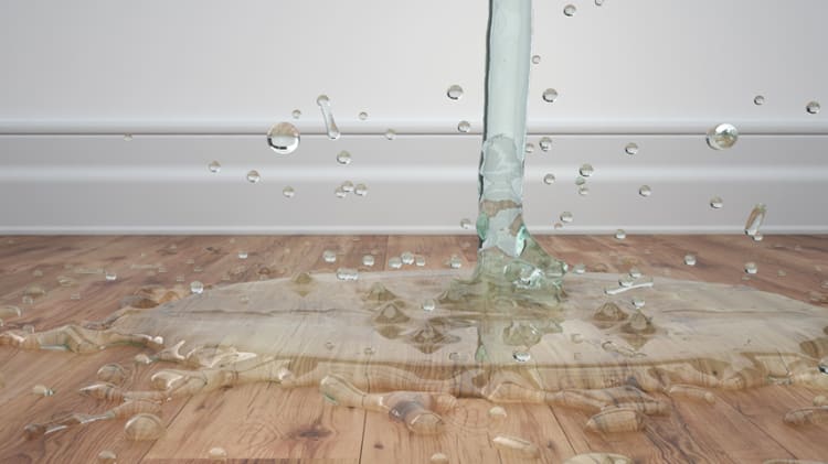 How to Protect Your Home from Water Damage image
