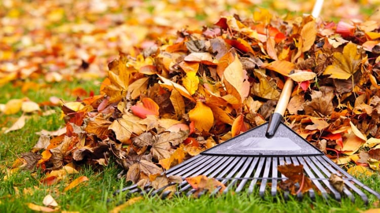 Eight Essential Fall Home Tasks thumbnail