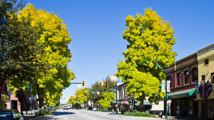 Downtown New Westminster image
