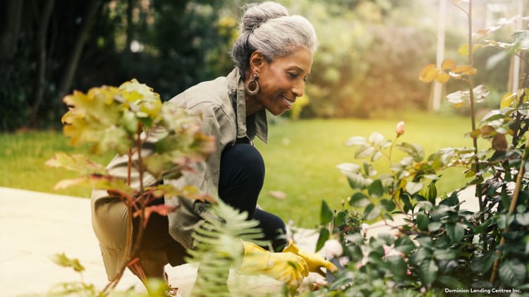 How a Reverse Mortgage Can Help image