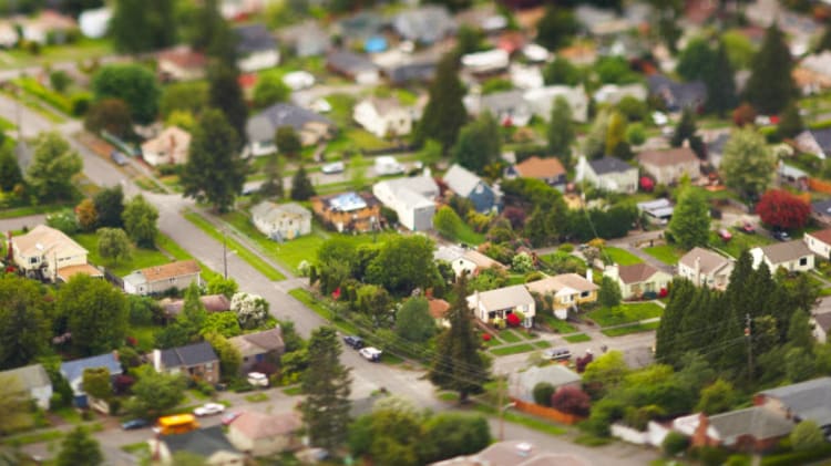 BCREA November Stats: Chilliwack Leads BC image