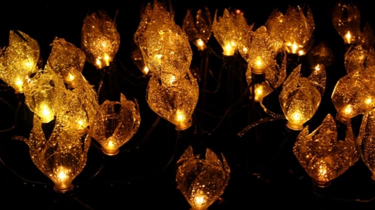 Christmas Lights Across the Lower Mainland image