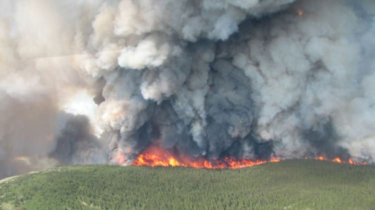 Local Real Estate Industry Comes Together to Aid Wildfire Victims image