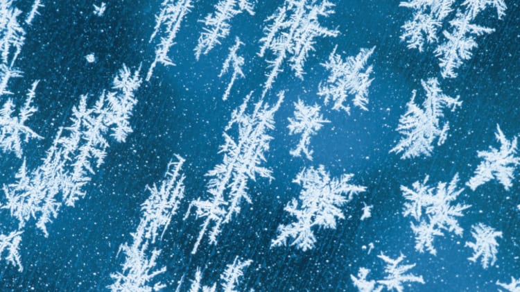 #Snowmageddon Blankets the Lower Mainland image
