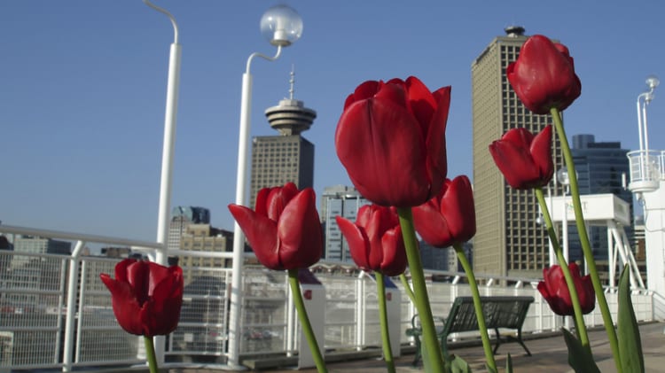 Hottest April on Record for Weather – and Real Estate Sales: Stats thumbnail