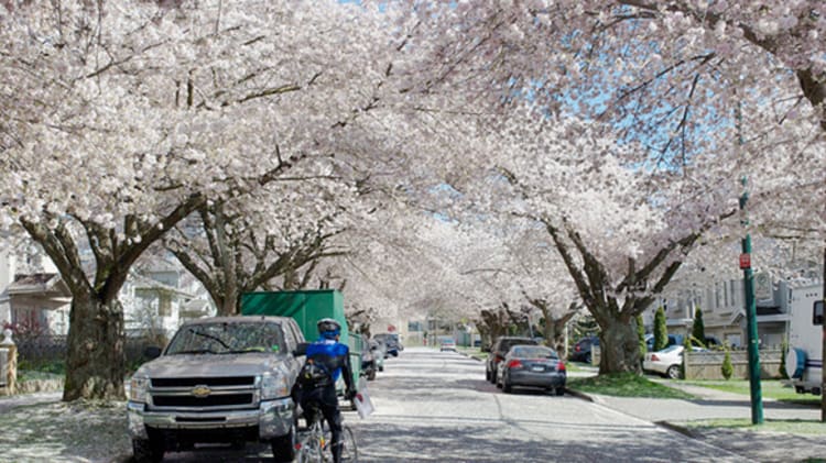 Greater Vancouver Real Estate Market: March 2013 thumbnail