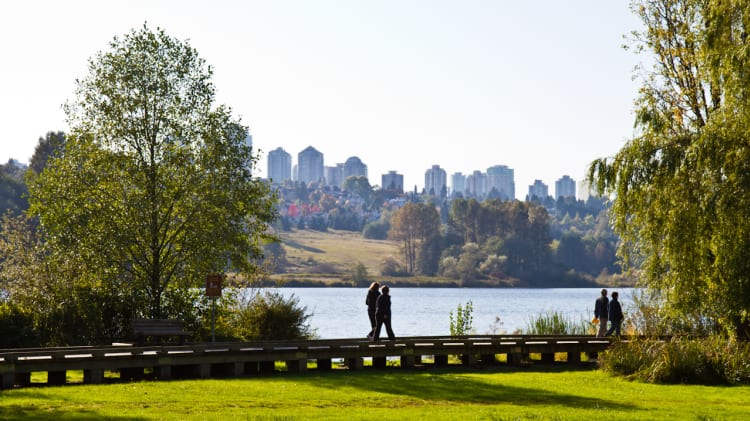 Deer Lake Neighbourhood Info image