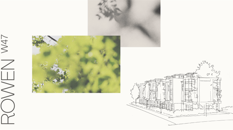 Rowen W47 – The perfect collaboration of place and design thumbnail