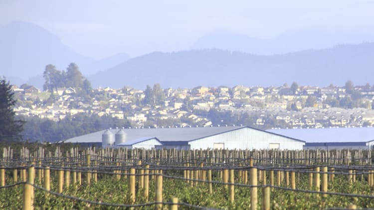Population Growth, Ripple Effect Driving Fraser Valley Market Growth: Experts image